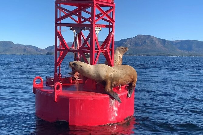 Ketchikan Zodiac Boat Adventure - Snacks, drinks, and the return to land