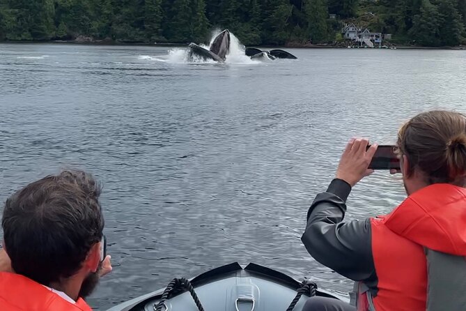 Ketchikan Zodiac Boat Adventure - Is $219 a fair price?