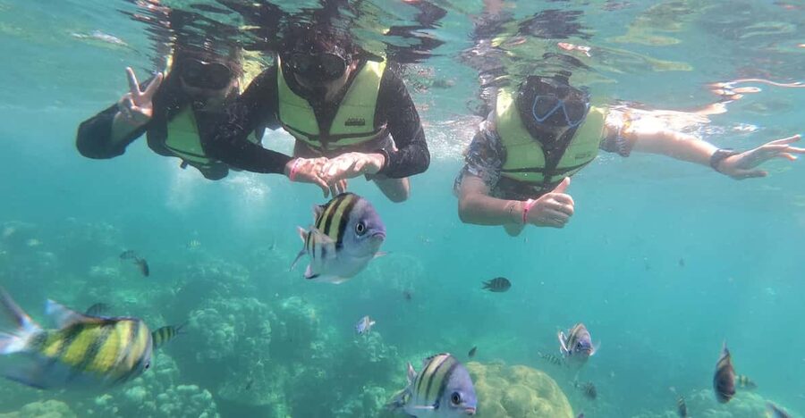 Ko Lanta: 4 Islands and Emerald Cave Day Tour by Speedboat - Who will enjoy this island day most