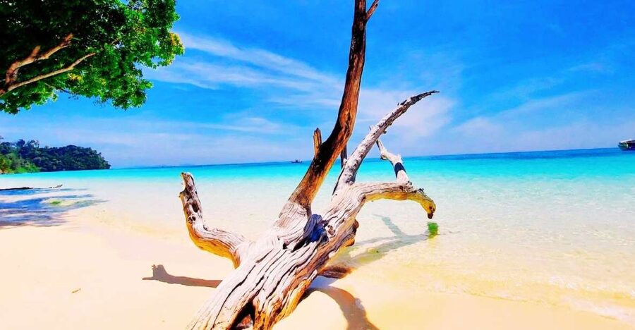 Ko Lanta: Koh Rok & Koh Haa Snorkelling Tour by Speedboat - Key things to know before booking