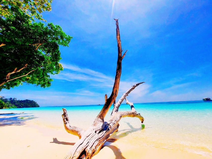 Ko Lanta: Koh Rok & Koh Haa Snorkelling Tour by Speedboat - Why Koh Haa and Koh Rok make a good pair