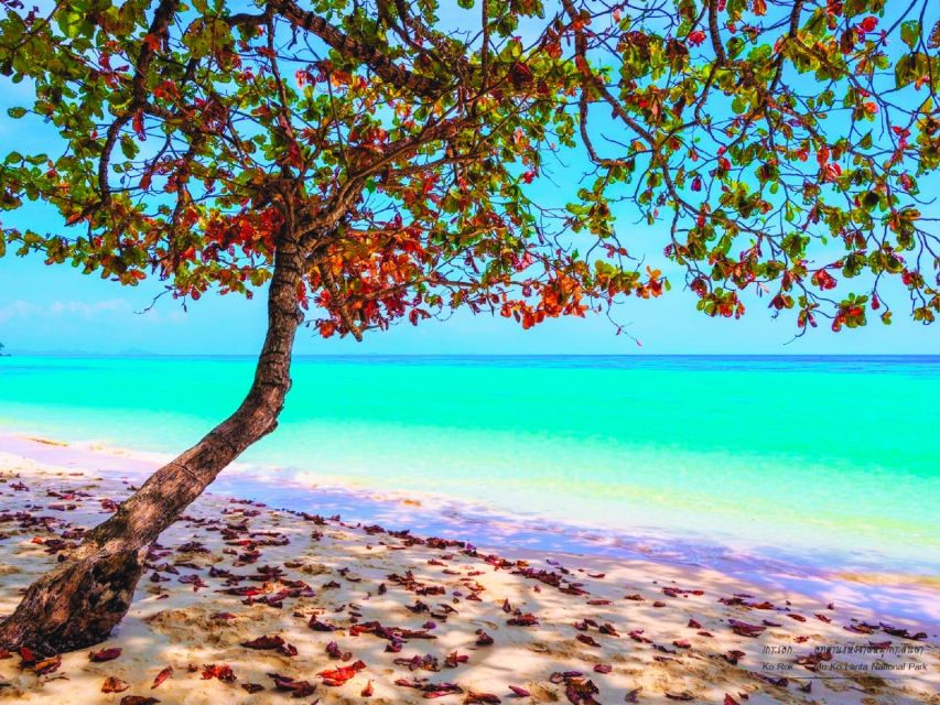 Ko Lanta: Koh Rok & Koh Haa Snorkelling Tour by Speedboat - The speedboat ride to the first reef