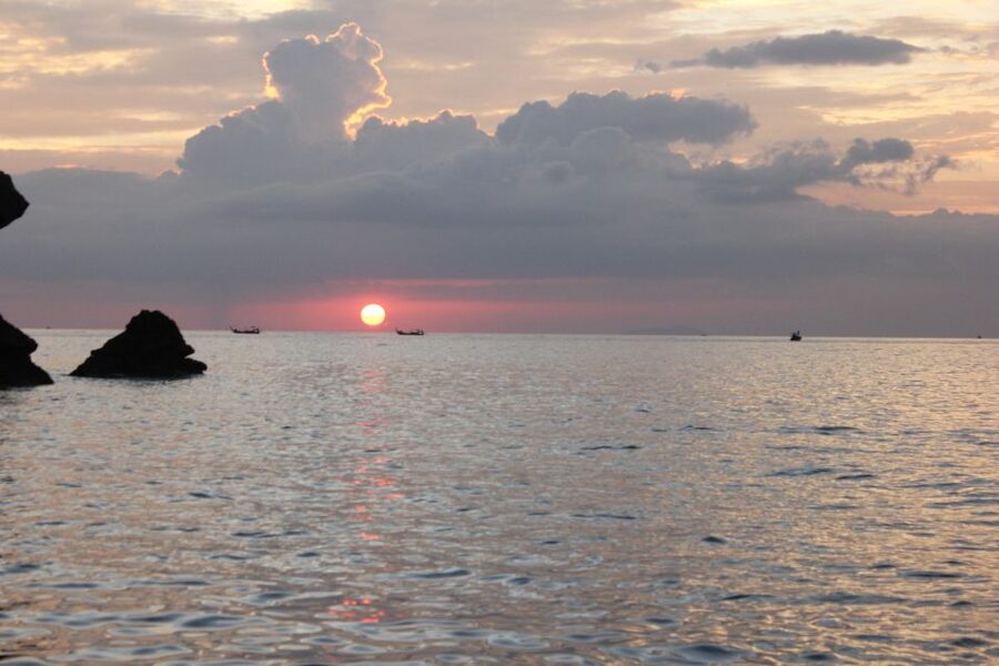 Ko Phi Phi Don: Speedboat Day Trip with Shark Snorkeling - Maya Bay, with time for the famous beach