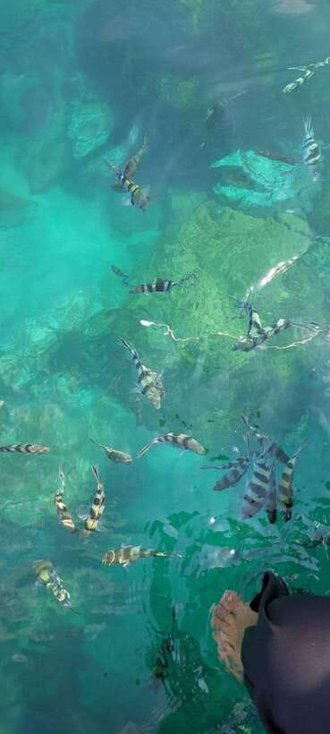 Ko Samui: Angthong National Marine Park by Speedboat - Lunch on Koh Phaluya