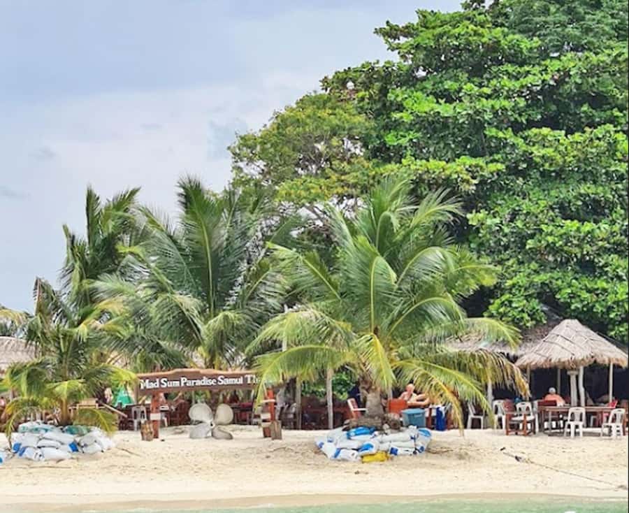 Ko Samui: Pig Island Snorkeling and Koh Tan Speedboat Tour - Value at $51 per person
