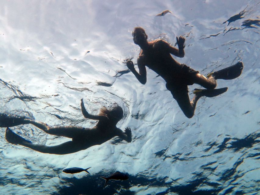 Koh Chang: Half-Day Snorkeling Adventure on a Speedboat - What the $46 price really covers