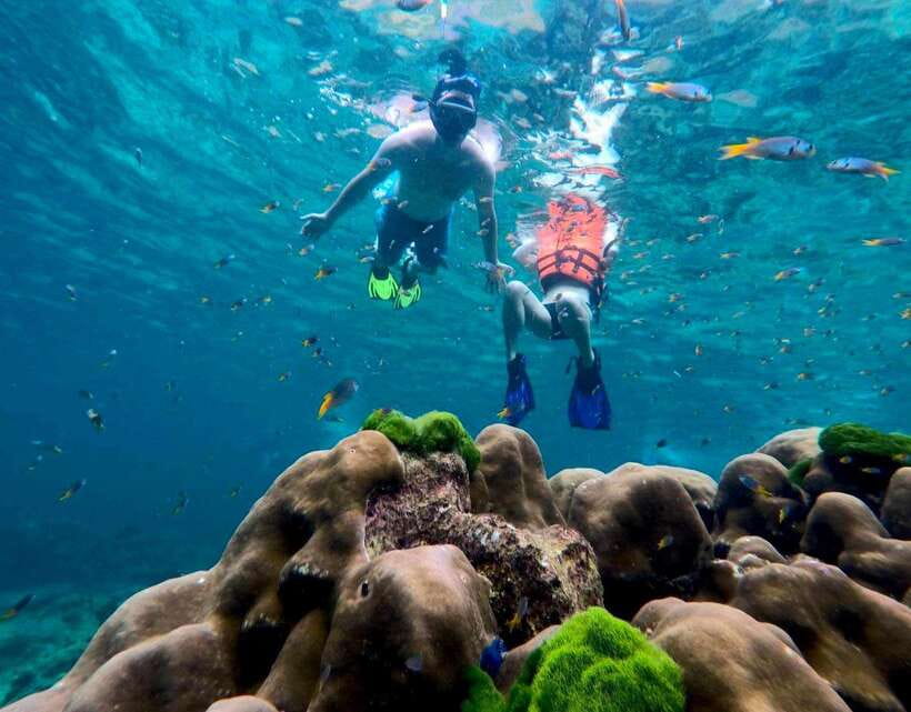 Koh Lanta: 4 Islands, Emerald Cave & Koh Kradan by Speedboat - What the Koh Lanta four-island tour is really like