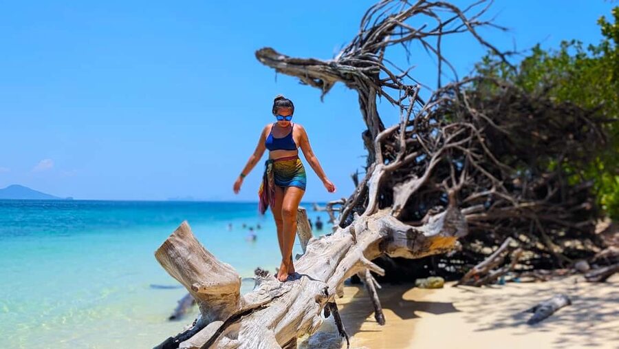 Koh Lanta: 4 Islands, Emerald Cave & Koh Kradan by Speedboat - Speedboat comfort, sea conditions, and group size