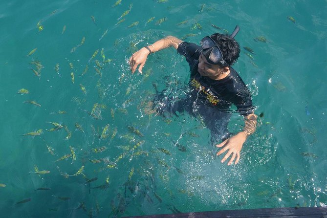 Koh Lanta: 4 Islands Tour by Speedboat with Snorkeling - What you get for $45.40