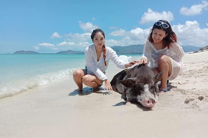 Koh Madsum and Koh Tan Snorkeling Trip By Speedboat From Koh Samui - Why this island pairing works from Koh Samui