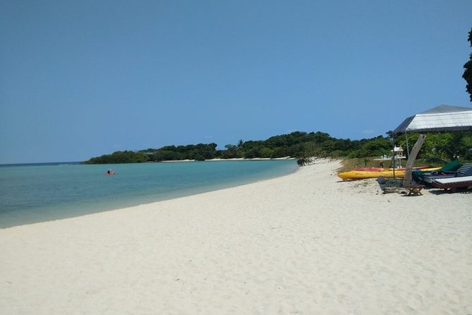 Koh Madsum and Koh Tan Snorkeling Trip By Speedboat From Koh Samui - What the $50.15 price really covers