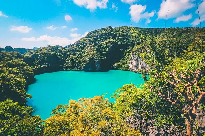 Koh Phaluai and Ang Thong Marine Park Tour by Speedboat from Koh Samui - The climb to Wua Ta Lap’s viewpoint
