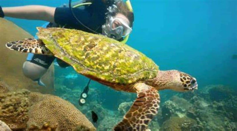 Koh Phangan: Angthong National Park Speedboat Tour - Two hours of kayaking around the park