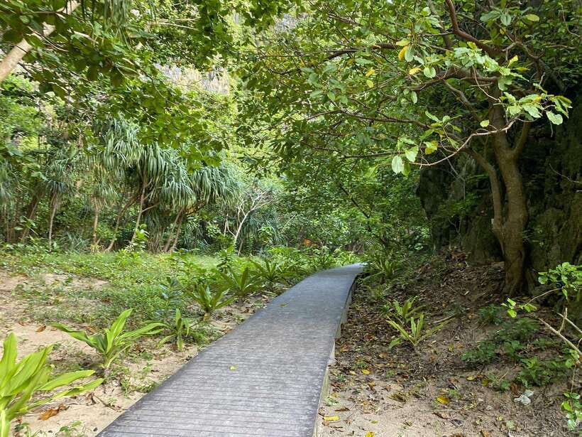 Koh Phi Phi: Early Morning Maya Bay, Bamboo Speedboat Tour - Monkey Beach adds wildlife, with sensible limits