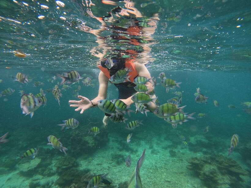 Koh Phi Phi: Early Morning Maya Bay, Bamboo Speedboat Tour - The guide and the pace of the day