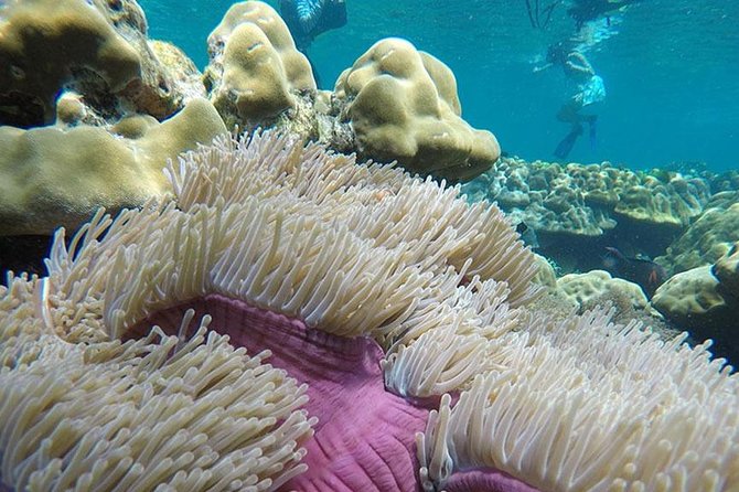 Koh Rok and Koh Haa Snorkeling Trip by Speedboat from Koh Lanta - Booking timing, weather, and cancellation terms