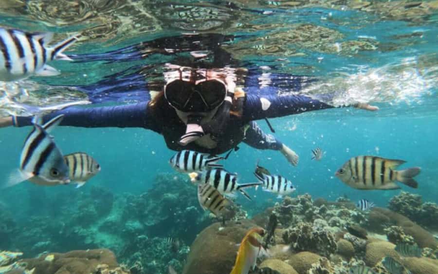 Koh Samui: Ang Thong Marine Park Day Tour by Speedboat - The morning transfer and Thong Sala departure