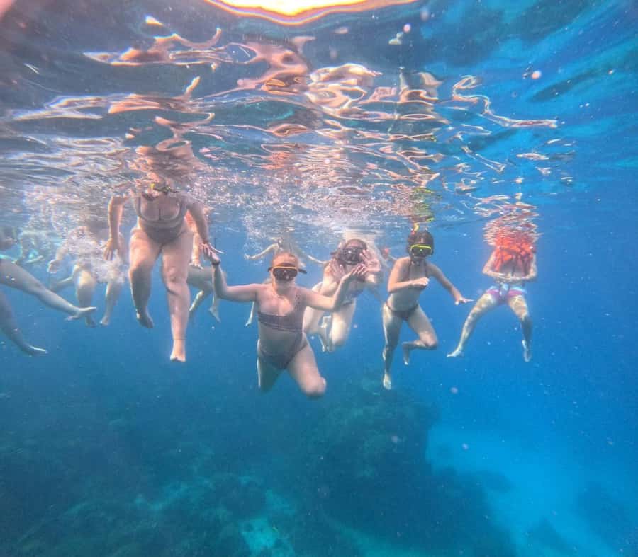 Koh Samui: Ko Tao & Nang Yuan Premium Tour Lunch & Transfer - Starting early at Petcherat Marina