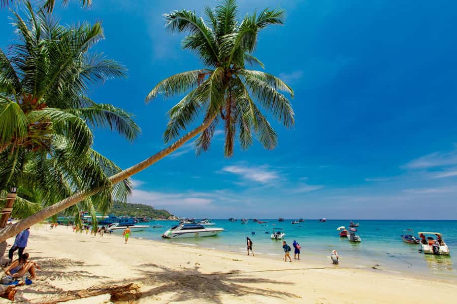 Koh Samui: Ko Tao & Nang Yuan Premium Tour Lunch & Transfer - What the schedule feels like in practice