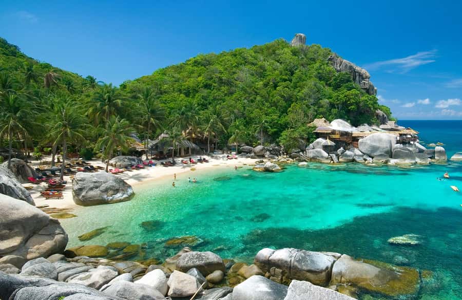 Koh Samui: Koh Nangyuan & Koh Tao Speedboat Tour with Lunch - Key points to know before booking