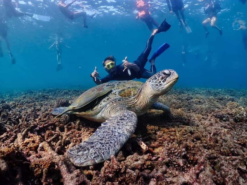 Koh Samui: Koh Tao and Koh Nang Yuan Speedboat Join Tour - Morning snorkeling around Koh Tao