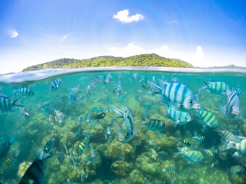 Koh Samui: Pig Island & Koh Tan Snorkeling by Speed boat - Snorkeling around Koh Tan