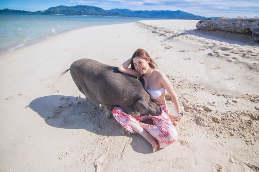 Koh Samui: Pig Island & Koh Tan Snorkeling by Speed boat - Lunch on Koh Tan is more than a quick snack