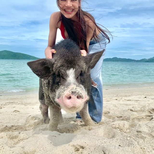 Koh Samui: Pig Island & Koh Tan Snorkeling by Speed boat - Is $52 a fair price?