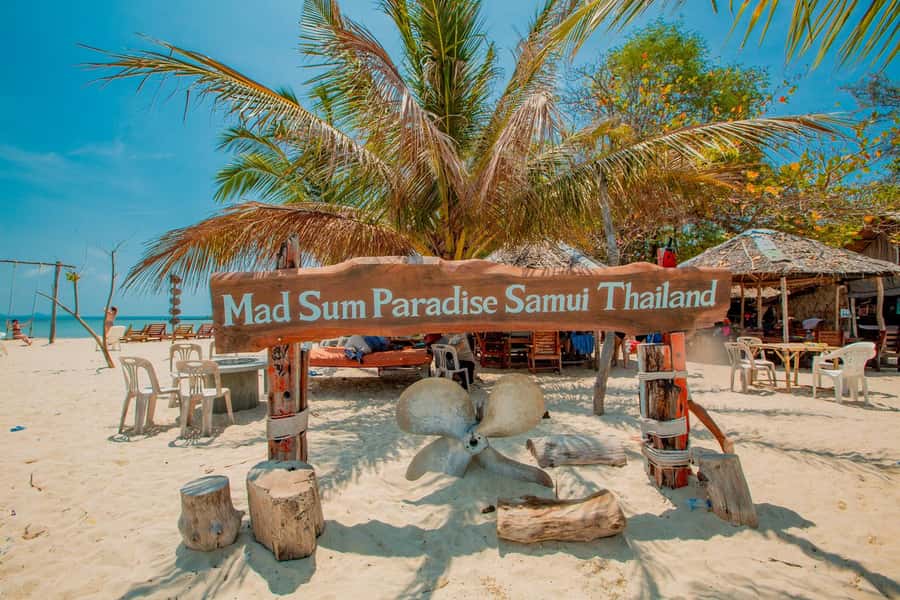 Koh Samui: Pig Island & Koh Tan Speedboat Tour with Lunch - Koh Madsum, where the pigs take over