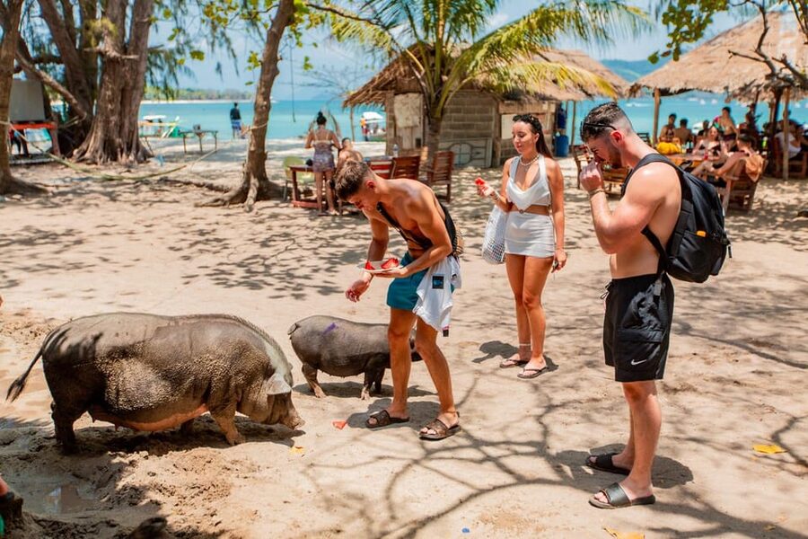 Koh Samui: Pig Island & Koh Tan Speedboat Tour with Lunch - What the $47 price really covers