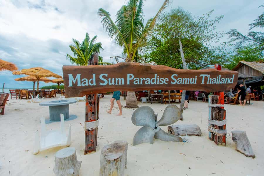 Koh Samui: Pink Dolphin Spotting & Pig Island Speedboat Tour - Key points at a glance