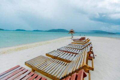 Pink Dolphin Spotting & Pig Island Speedboat Tour