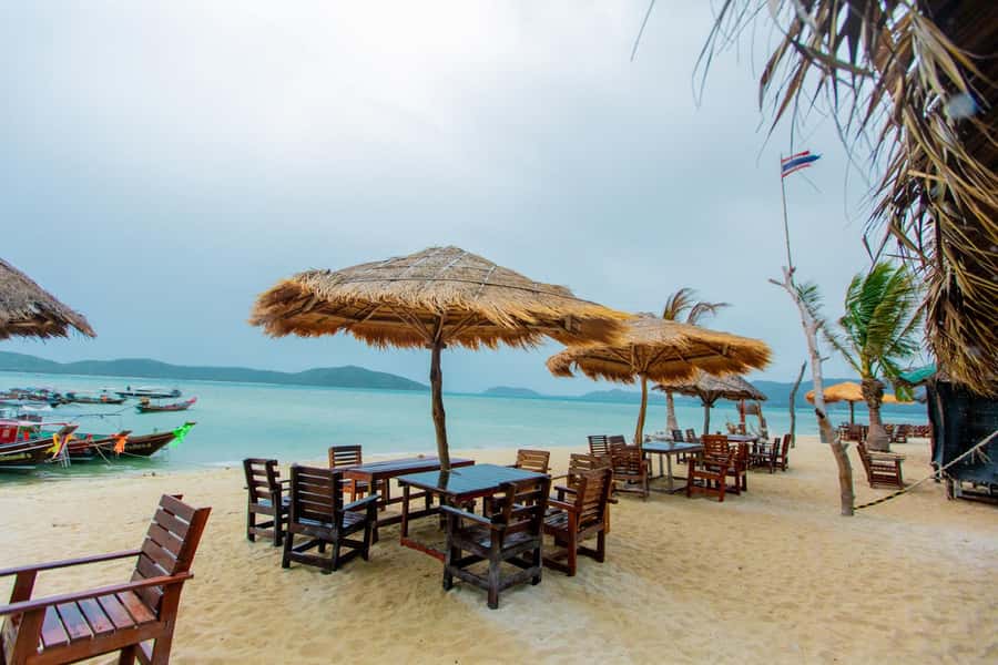 Koh Samui: Pink Dolphin Spotting & Pig Island Speedboat Tour - Mainland lunch after the sea stops