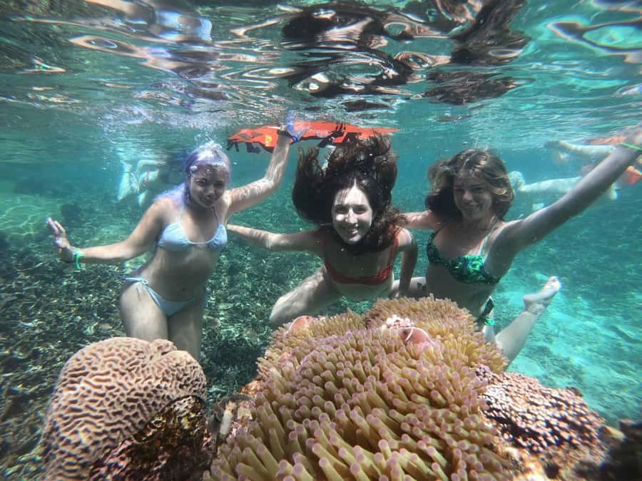 Koh Samui: Private Speedboat Charter – Custom Island Routes - Ang Thong National Marine Park: scenery, beaches, and paddling