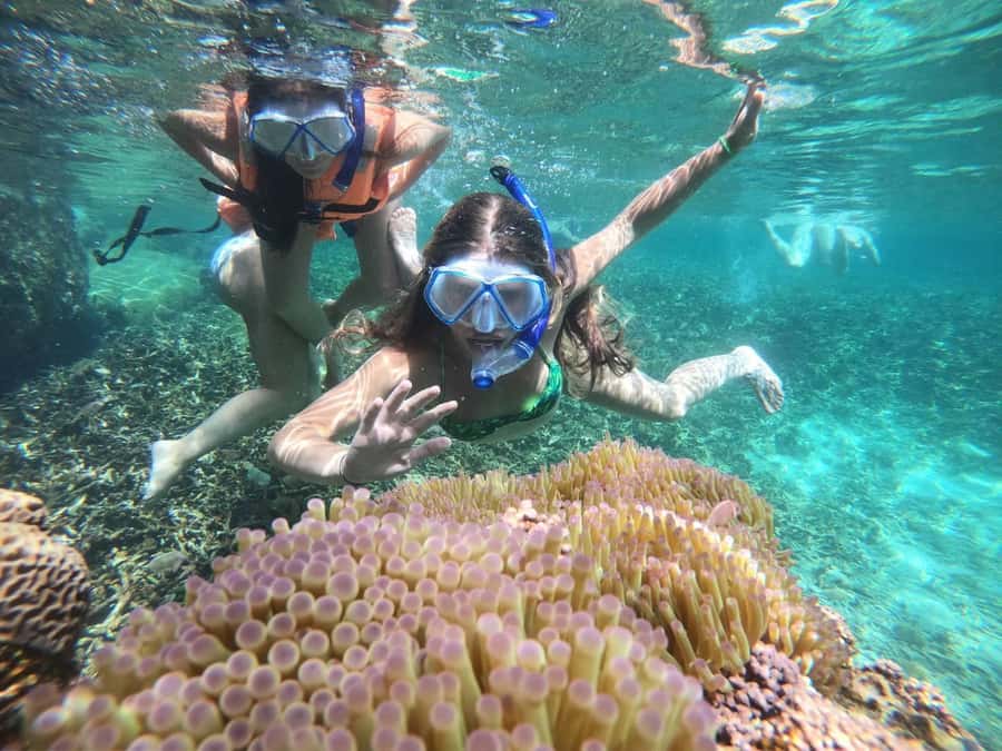Koh Samui: Private Speedboat Charter – Custom Island Routes - Koh Phangan transfer: useful, fast, and not a tour