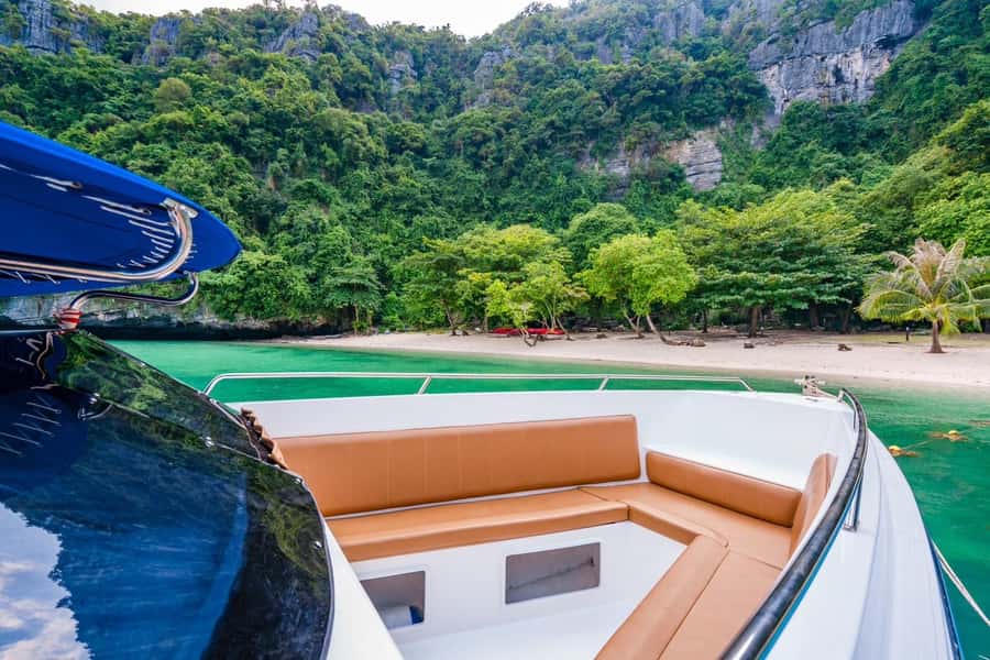 Koh Samui: Private Speedboat to Pig Island with Snorkeling - Key points to know before booking