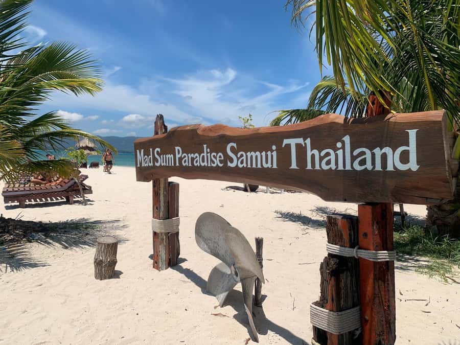 Koh Samui: Private Speedboat to Pig Island with Snorkeling - Who should book this Koh Samui boat trip?