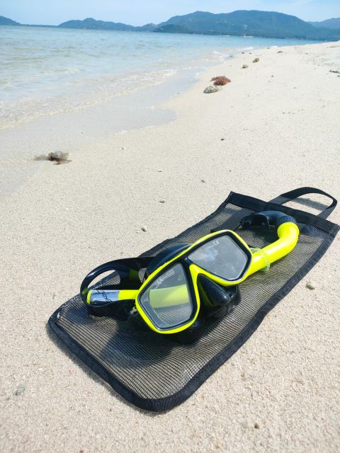Koh Samui: Private Speedboat to Pig Island with Snorkeling - Should you book the private Pig Island trip?