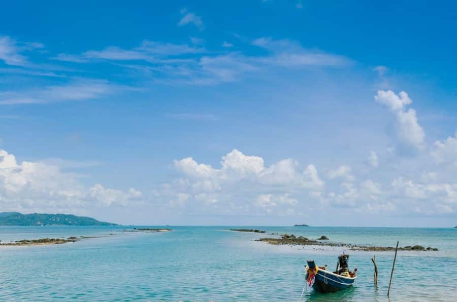 Koh Samui: Private Speedboat Tour to Koh Madsum and Koh Tan - Two hours at each island