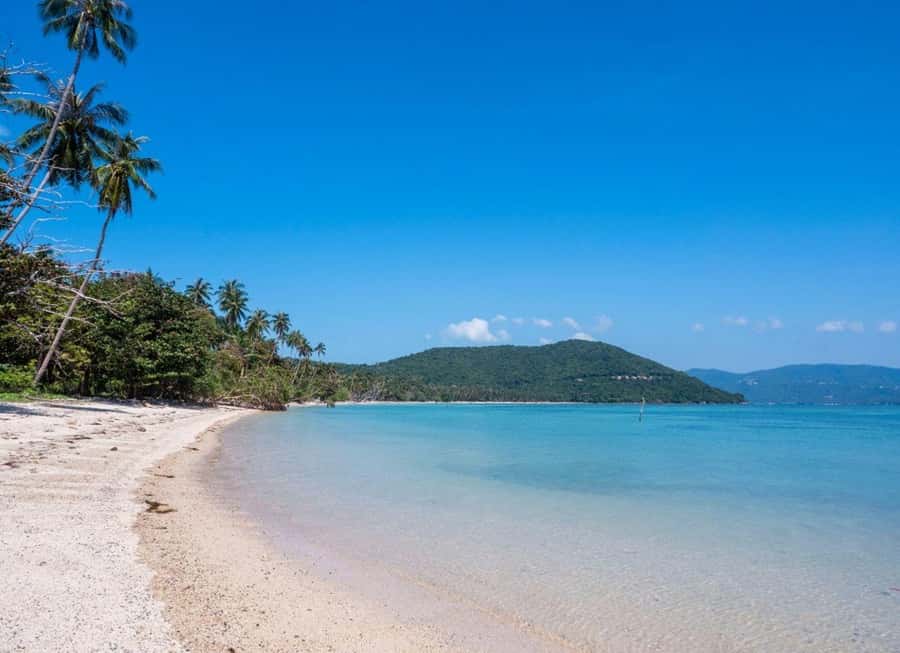 Koh Samui: Private Speedboat Tour to Koh Madsum and Koh Tan - Hotel pickup and the small practical details