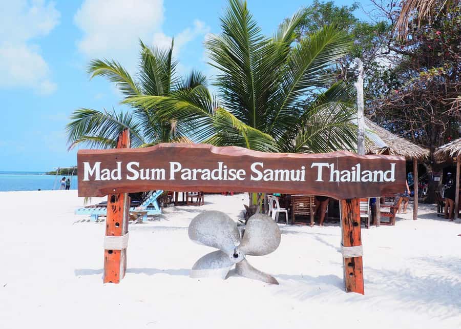 Koh Samui: Private Speedboat Tour to Koh Madsum and Koh Tan - Meeting the pigs on Koh Madsum