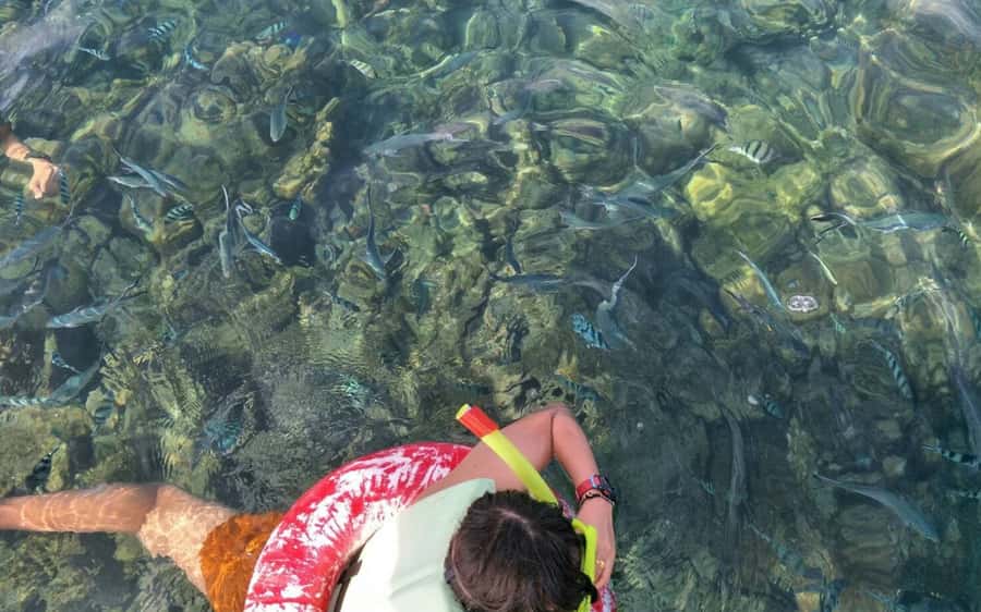Koh Samui: Snorkeling and Kayaking by Speedboat - My call: book it for variety, not for perfect snorkeling