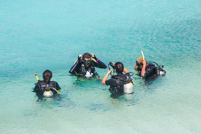 Koh Tao and Koh Nang Yuan by Speedboat - The speedboat experience: quick, useful, and not luxurious