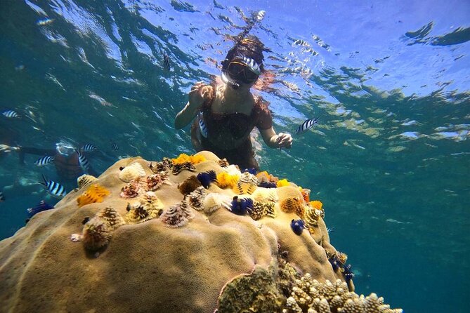 Koh Tao and Koh Nang Yuan Snorkel Tour (Speedboat from Koh Samui) - The long ride from Koh Samui to the reef