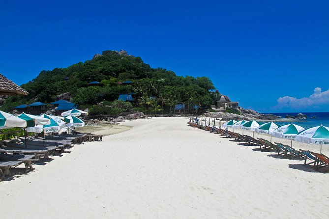 Koh Tao and Koh Nang Yuan Snorkel Tour (Speedboat from Koh Samui) - What the $61.92 price really covers