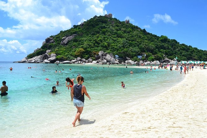Koh Tao and Koh Nang Yuan Snorkeling Trip By Speedboat From Koh Samui - Three Koh Tao bays, depending on the weather