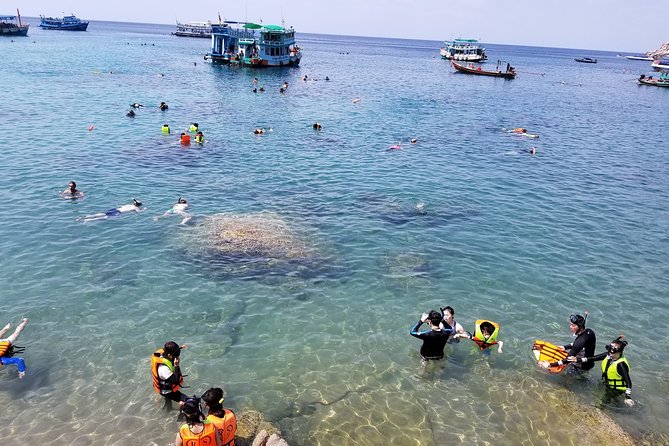 Koh Tao and Koh Nang Yuan Snorkeling Trip By Speedboat From Koh Samui - Who will enjoy this day most