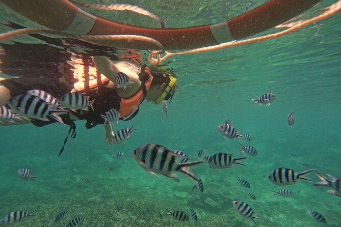 Koh Tao and Koh Nang Yuan Speedboat Tour from Koh Phangan - Koh Nang Yuan and its famous sand bridges