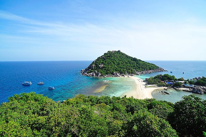 Koh Tao and Koh Nang Yuan Speedboat Tour from Koh Samui - Who will enjoy this day trip most