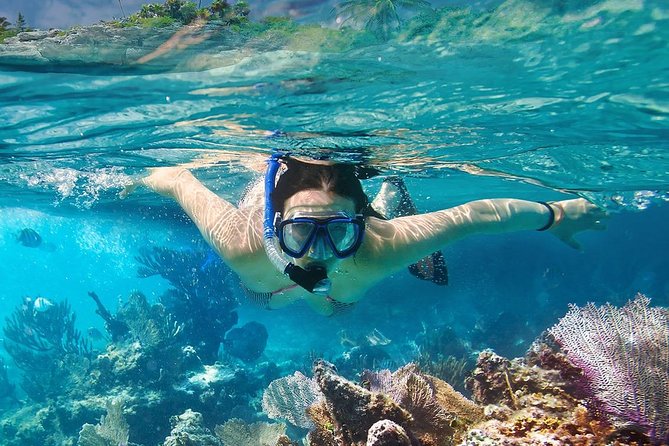 Koh Tao and Koh Nangyuan Snorkeling Tour by Speedboat from Ko Samui - Key points to know before booking